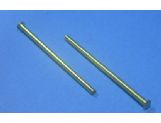 Rivet -- Brass